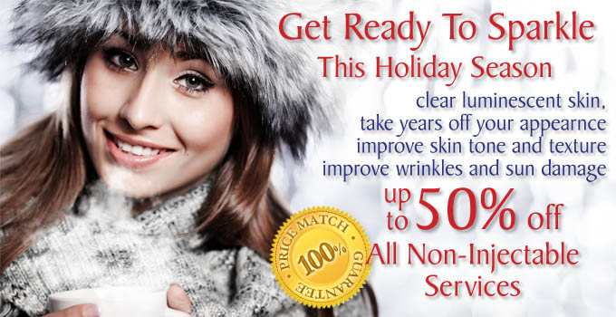 Winter Seasons Holiday Sale
