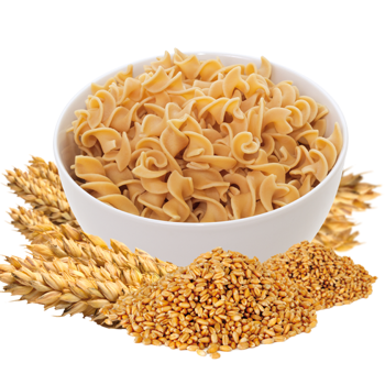 Rotini Pasta